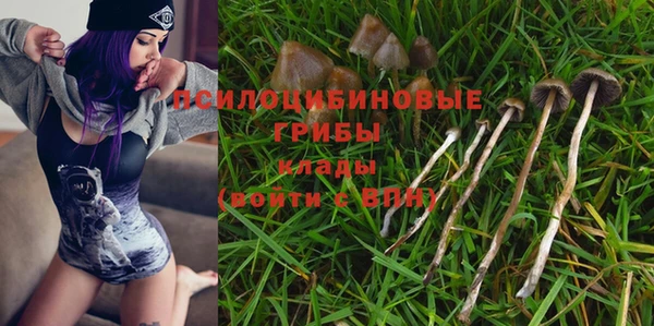 ПСИЛОЦИБИНОВЫЕ ГРИБЫ Няндома