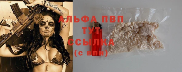 ПСИЛОЦИБИНОВЫЕ ГРИБЫ Няндома