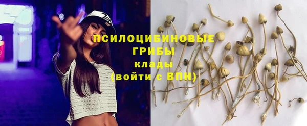 spice Елабуга