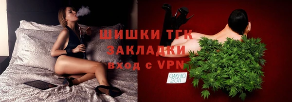 дмт Нягань