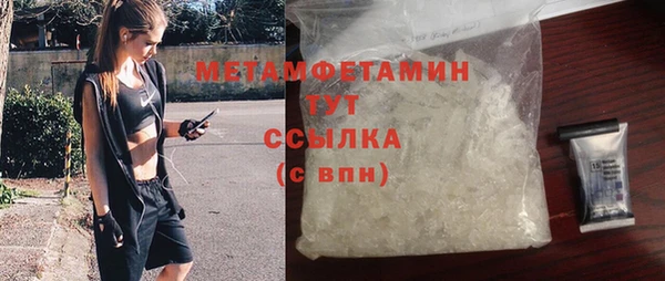 ПСИЛОЦИБИНОВЫЕ ГРИБЫ Няндома