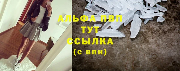 ПСИЛОЦИБИНОВЫЕ ГРИБЫ Няндома