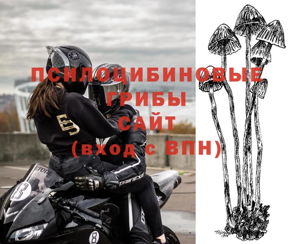 COCAINE Ельня