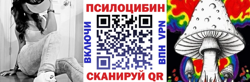 Псилоцибиновые грибы мицелий  купить наркотик  даркнет формула  Петухово 
